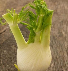 Fenchel in Knollenform