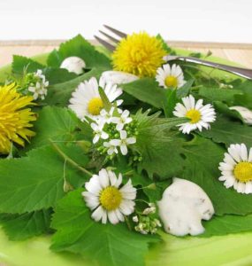 Gänseblümchensalat auf grünem Teller