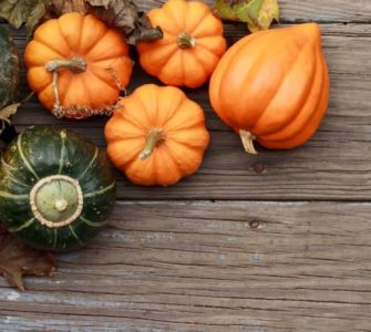 Vier orange und ein grüner Kürbis auf einem Holztisch