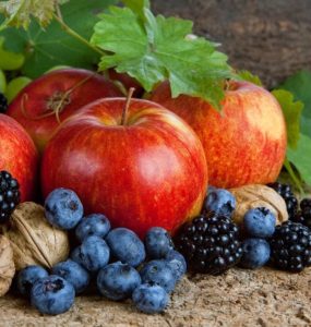 Heidelbeeren Äpfel Weintrauben Walnüsse