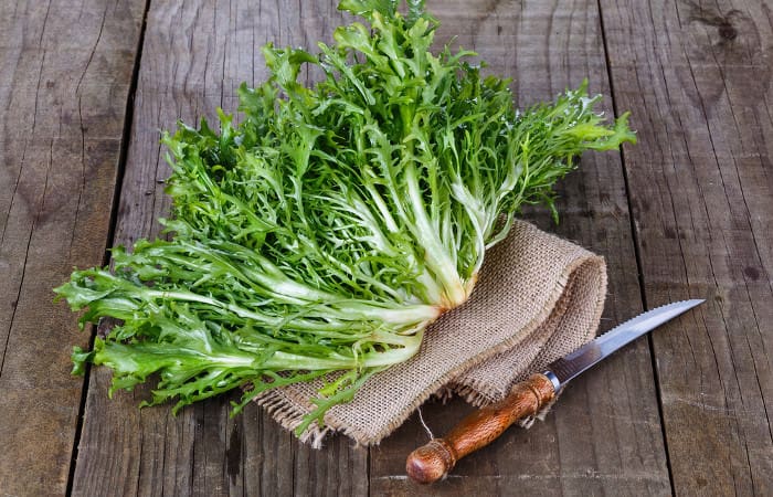 Endiviensalat passt einfach zu jeder Mahlzeit als kalorienarmer Begleiter