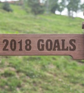 Schild aus Holz mit Aufschrift 2018 Goals vor grüner Wiese zeigt in Richtung gute Vorsätze 2018