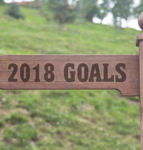 Schild aus Holz mit Aufschrift 2018 Goals vor grüner Wiese zeigt in Richtung gute Vorsätze 2018