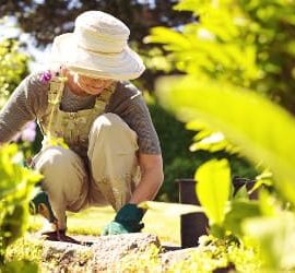 Frau arbeitet kniend im Garten